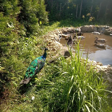 Negy Evszak Vendeghaz